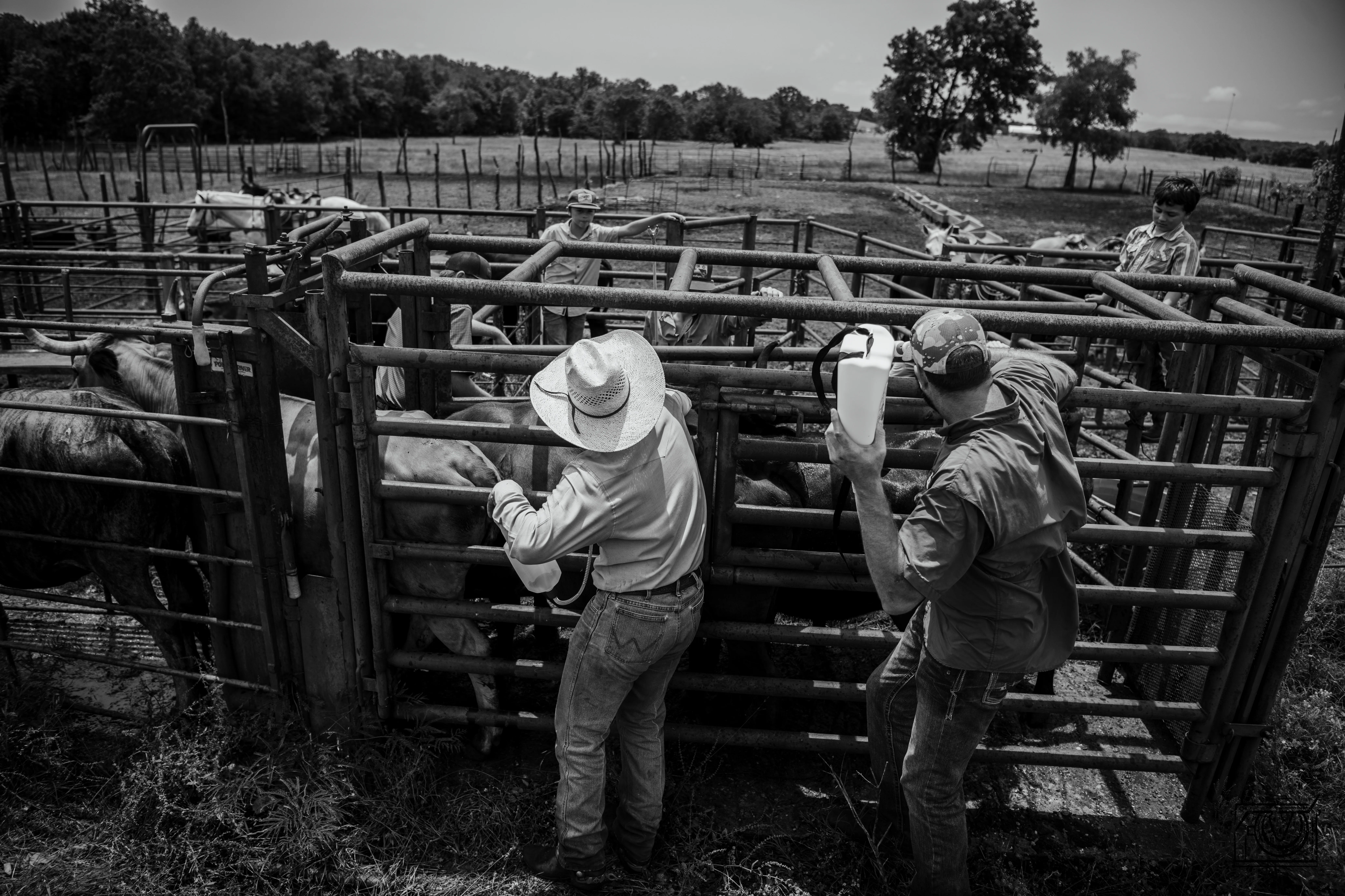 Diamond T Sales Farm Equipments