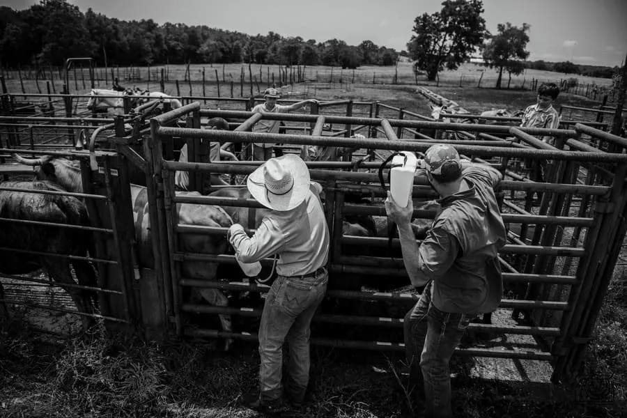 Diamond T Sales Farm Equipments